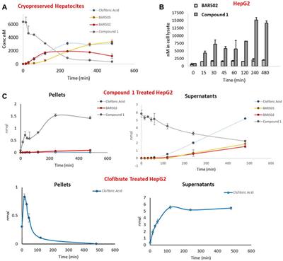 BAR502/fibrate conjugates: synthesis, biological evaluation and metabolic profile